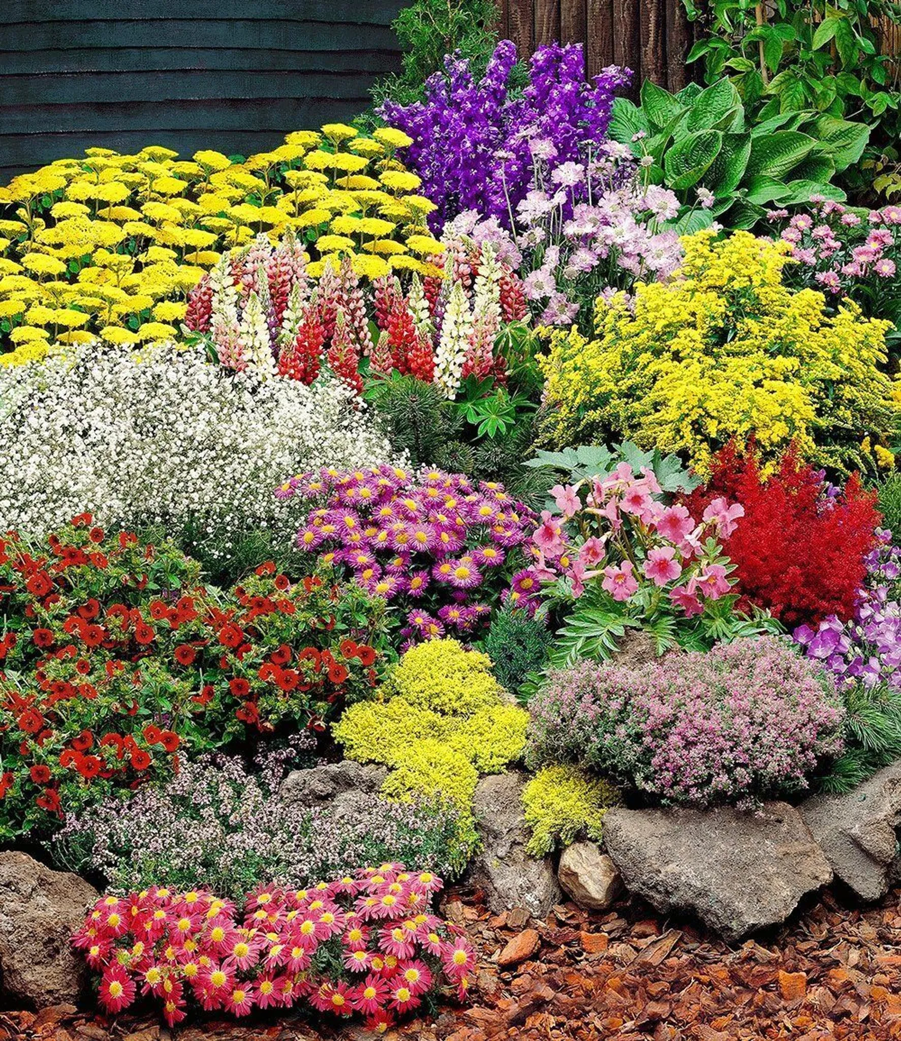 Starlit Patio Gartenflagge Hahn – 30,5 X 45,7 Cm, Doppelseitig, Polyester, Für Frühling & Sommer