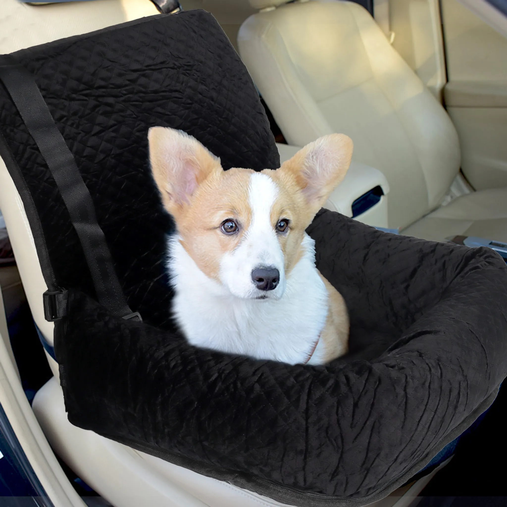 Hunde Sicherheitsgurte für Ihr Auto, Autosicherheitsgeschirre