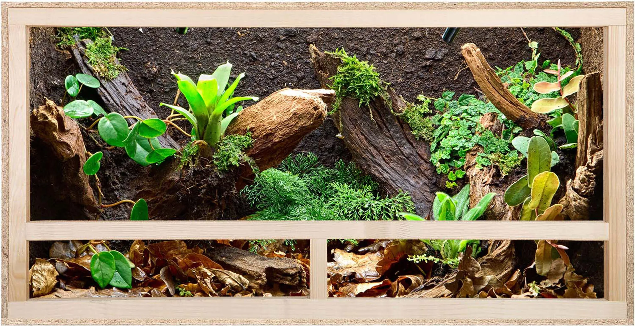 Massgefertigtes Terrarium mit Frontbelüftung bis max. 150/80/100 cm