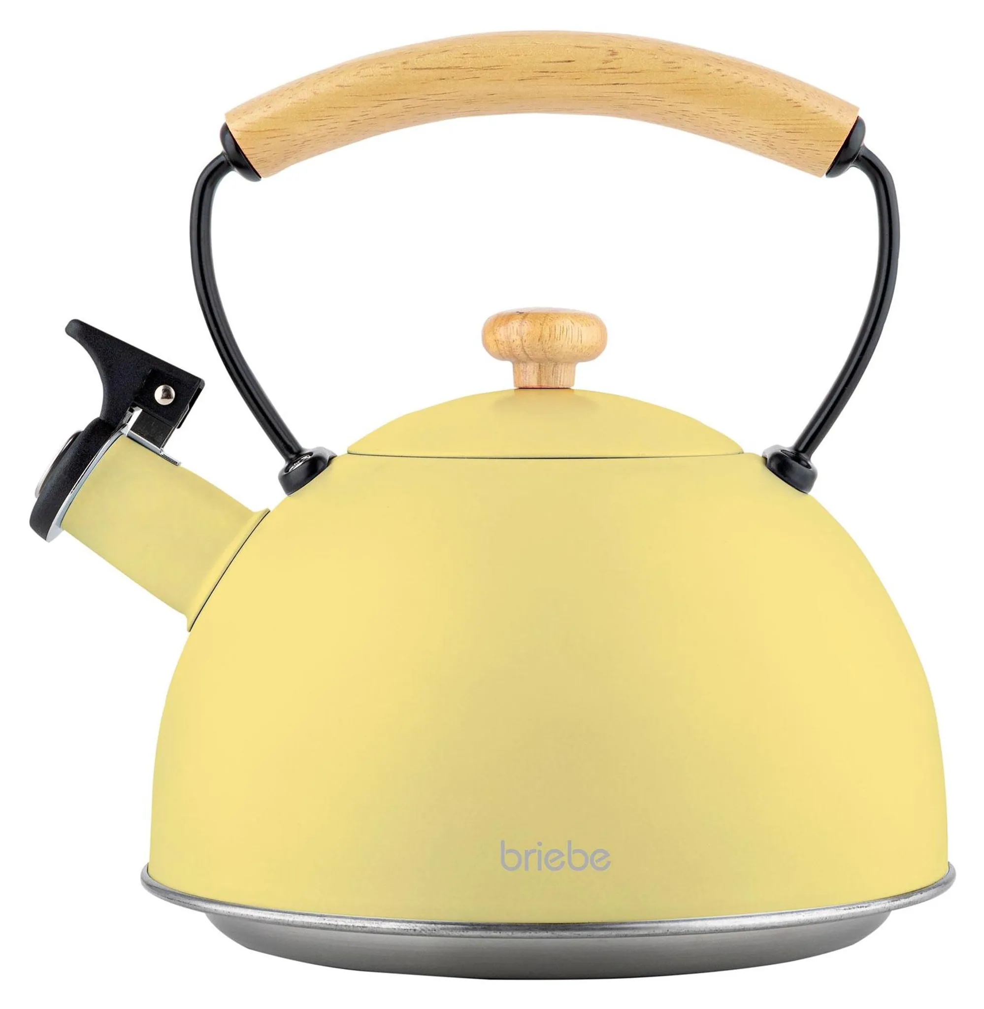 Bollitore Teiera a Fischio 3 Litri, Acciaio Inox, Manico Ergonomico