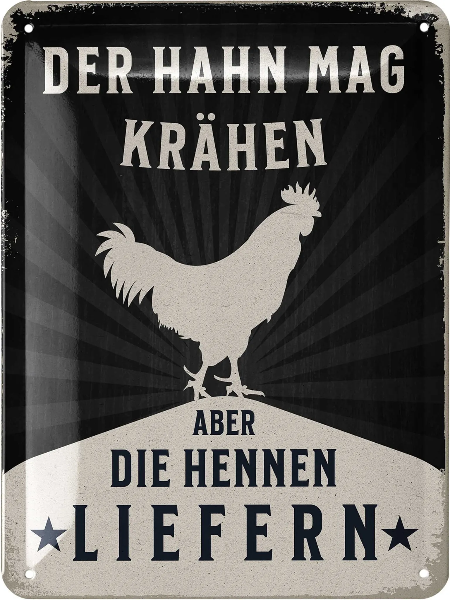 Lustiges Hühnerschild Aus Metall, 20x30 Cm – Rostfrei, Für Garten, Küche & Hühnerstall, Mit Vorgebohrten Löchern