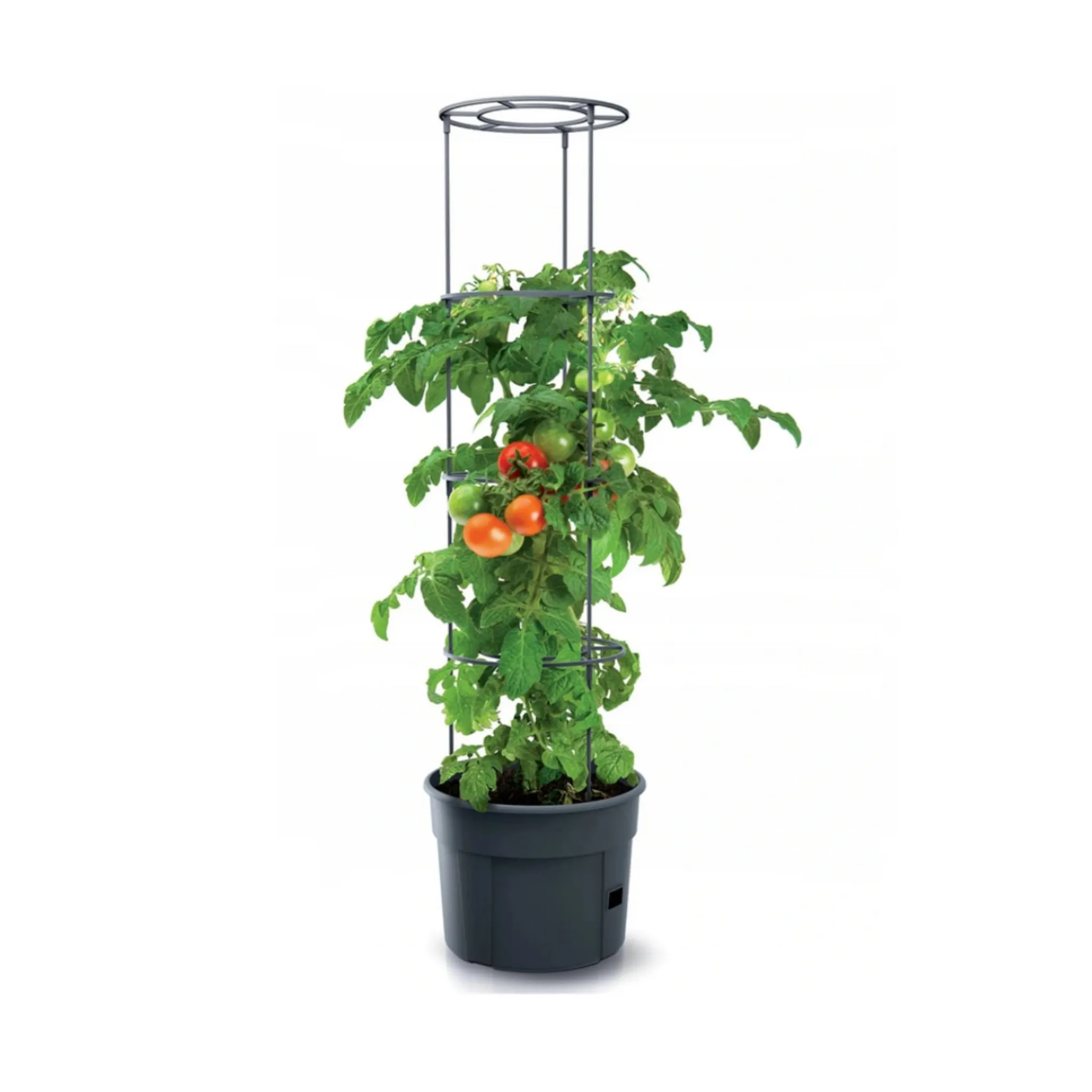 Topf für Pflanzkübel 28L Tomatenpflanze