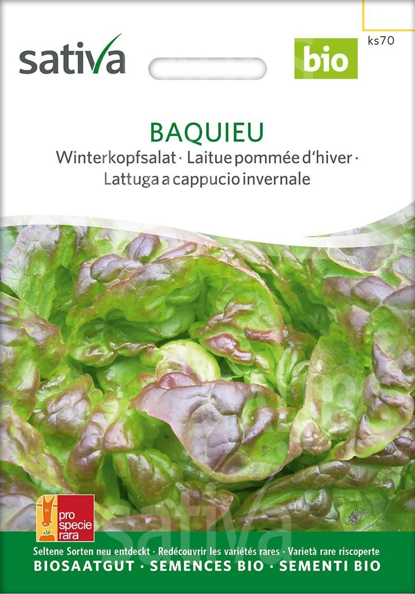 FLORTUS BIO Winterkopfsalat Wintermarie – Samenfest, 200 Korn, Für Garten & Balkon