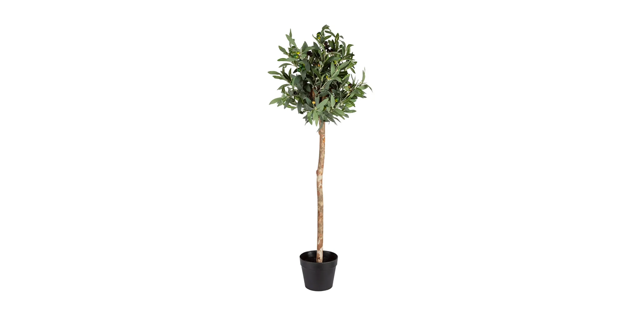 LIVARNO home Kunstpflanze, Olivenbaum 120 cm