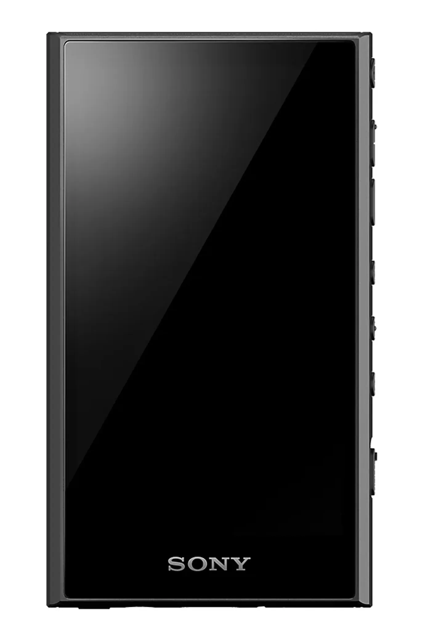 Walkman Touchscreen Sony NW-A306 Player MP3