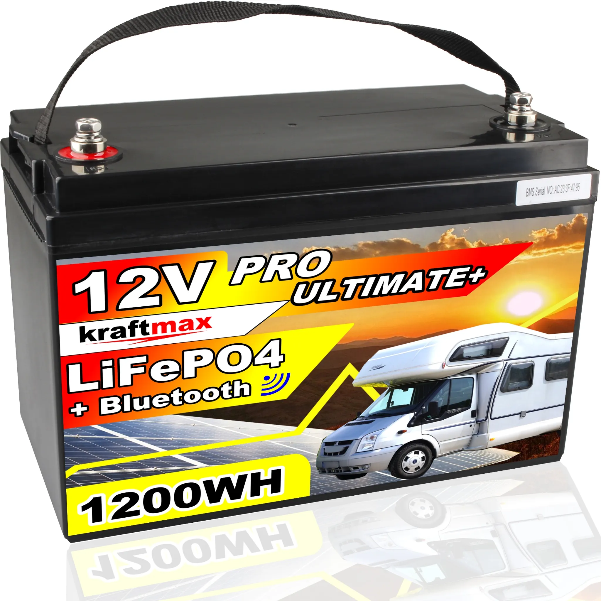 LiFePO4 Akku 12V 3Ah mit BMS (Batterie Management System)