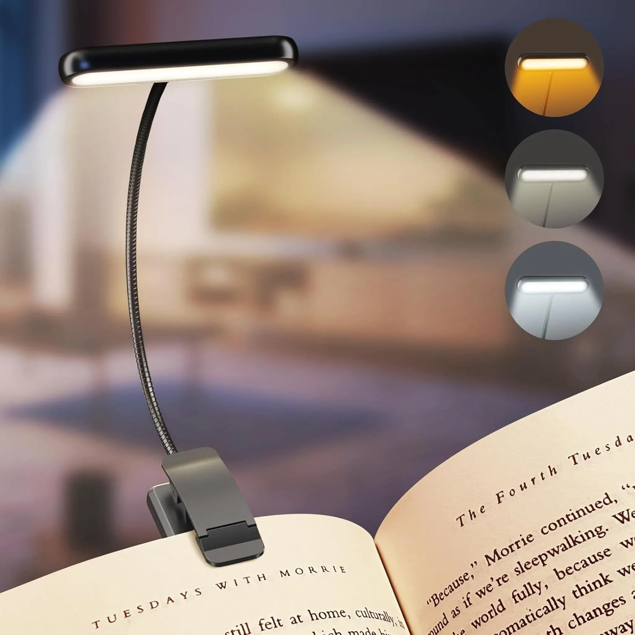 2x12v LED Drehbare Leselampe Wandleuchte Tischlampe Wohnmobil Wohnwagen Reise Online Kaufen