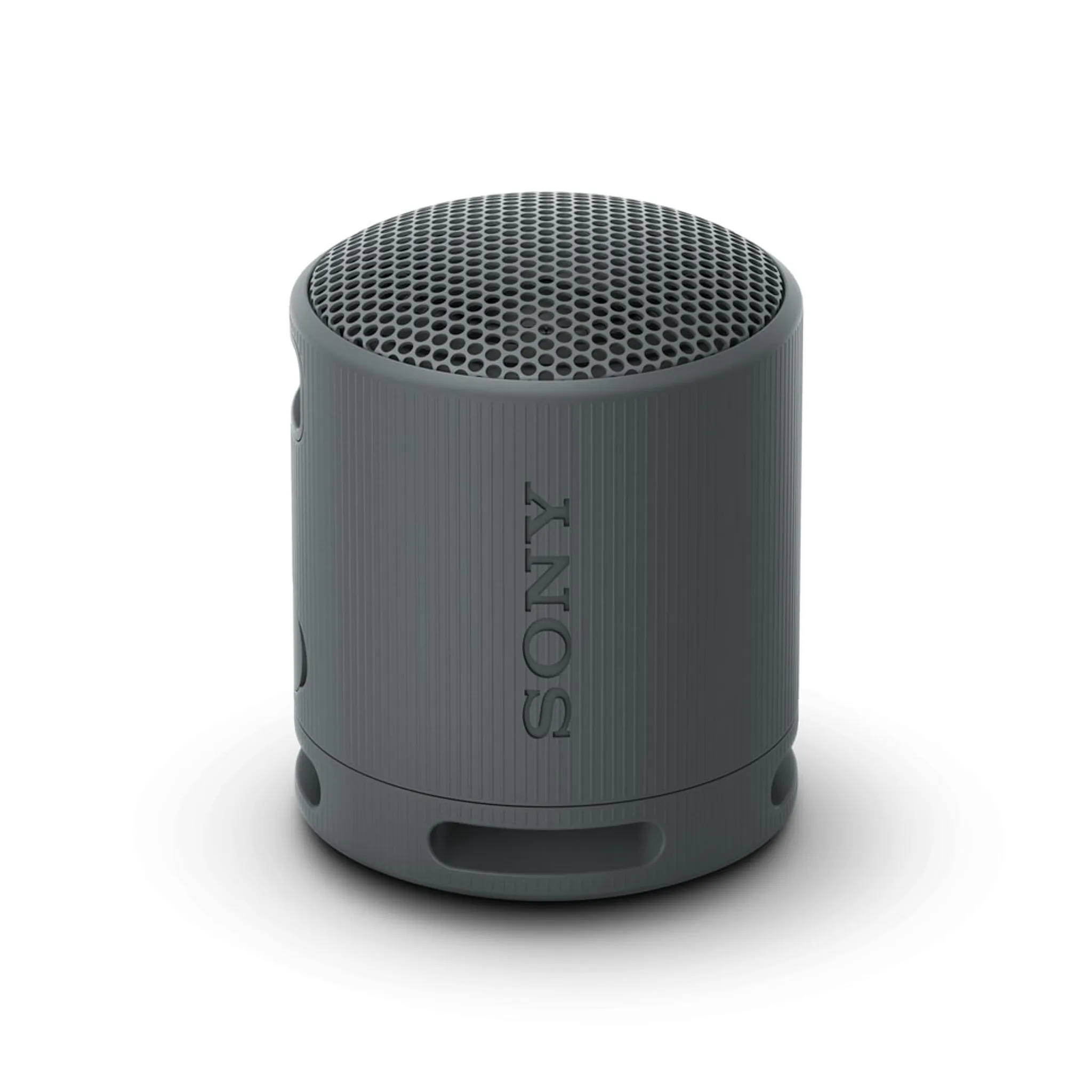Tragbarer Mono-Lautsprecher Sony SRS-XB100
