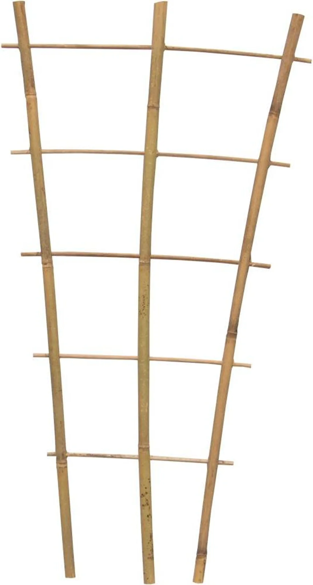 Bambus Rankgitter 60 cm 60 x 28 x 12 cm Rankgitter