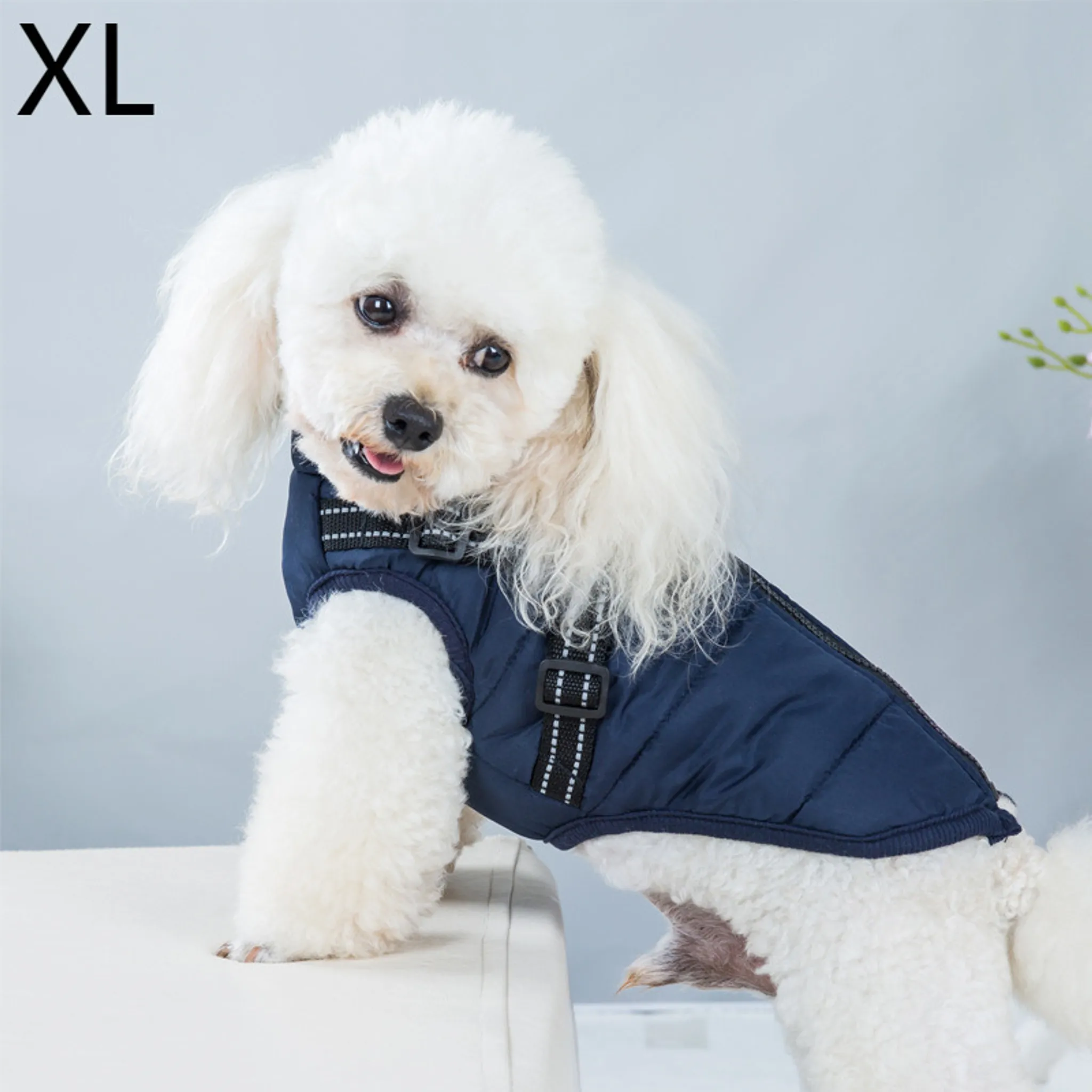 Cappotti E Giacche Per Cani - Impermeabili Imbottiti E Antivento