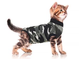 Recovery Suit "XXXS" Camouflage schwarz Katze
