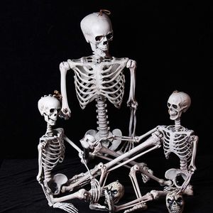 3 STK Halloween-Skelett 90/70/40cm Halloween Lebensgröße Beweglich Lehrmodell Anatomie Deko-Party-Requisite