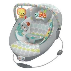 BRIGHT STARTS Bouncer Whimsical Wild - Mehrfarbig