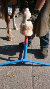 Hufbock - Verstellhebel - Hufschmiedebock Hufpflege Hufbeschlagbock Pferdepflege