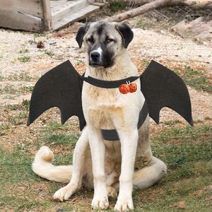 Hund Fledermaus-Kostüm - Halloween Haustier Kostüm Fledermaus Flügel Cosplay Hundekostüm Katze Kostüm für Party