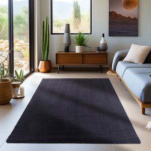 Waschbarer Teppich Wohnzimmer Kurzflor rutschfest Flauschig Einfarbig Felloptik, Schwarz, 240 x 340 cm