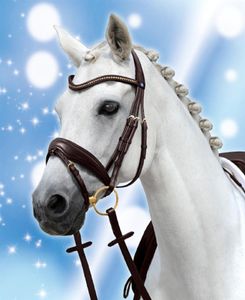 Passier Trense Spirit PASSIERBLU engl. RH havanna Messing anatomisch geformt Warmblut Passier Trense Spirit PASSIERBLU engl. RH havanna Messing anatomisch geformt Warmblut