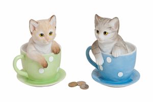 Spardose Katze in Tasse Sparbüchse Katze Tasse