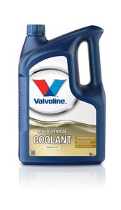 VALVOLINE 5 Liter Motorkühlmittel MULTI-VEHICLE COOLANT CONC SW