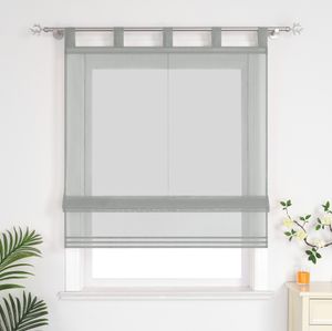 Delien Raffrollo mit Schlaufen Voile Uni Panneaux Küche Gardinen Modern Wohnzimmer Schlaufenrollo Grau BxH 140x140cm