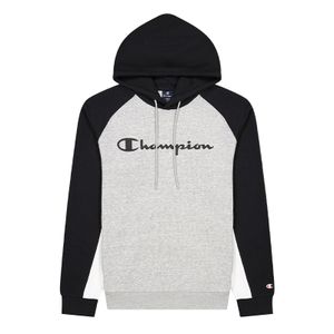 Champion Hoodie Hooded Sweatshirt