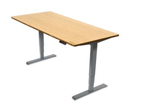 Ergotopia elektrisch höhenverstellbarer Schreibtisch / Ergonomischer Steh-Sitz Tisch mit Memory-Funktion (Bambus Echtholz, 160x80cm, Gestell Grau)