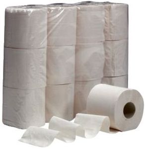 64 Rollen Papernet Toilettenpapier  Klopapier 2-lagig  250 Blatt