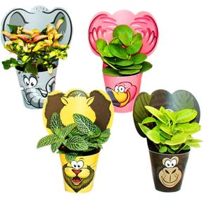 Exotenherz - lustiges Zimmerpflanzen Set "Animals" - 4 Pflanzen mit Tieren  - ideal als Gastgeschenk für Kindergeburtstage