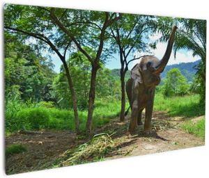 Wallario Premium Leinwandbild Junger Elefant im Dschungel in Größe 60 x 90 cm