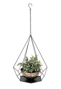 DanDiBo Blumenampel Innen Metall Wand Hängepflanzen 76 cm 96095 L mit Topf 6 Ecken Pflanzenhänger Blumenhänger Topfhänger Blumen Blumentopfhänger Hängetopf