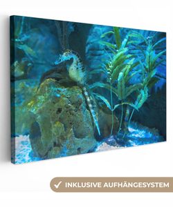 OneMillionCanvasses® - Leinwandbilder - Bild auf Leinwand Wandbild Leinwandbild Seepferdchen im Meer, 30x20 cm, Kunstdruck Wandkunst Gemälde auf Holzrahmen