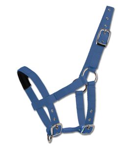 Waldhausen Padded Halfter Blau Foal Blau Foal