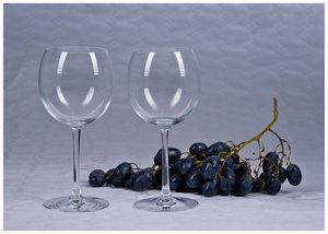 Cristal d'Arques 2er-Set Weingläser Weißweinglas Rotweinglas Weinglas Trinkglas, Glassorte:Weißwein