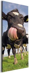 Wallario Premium Leinwandbild Lustige Kuh auf der Weide mit herausgestreckter Zunge in Größe 60 x 150 cm