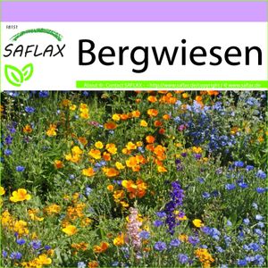 SAFLAX - Wildblumen: Bergwiesen - 1000 Samen - 16 Wildflower Mix