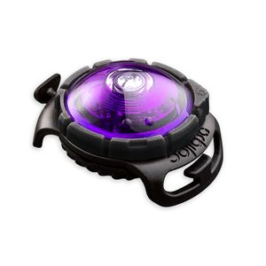 Orbiloc LED světlo na obojek Purple