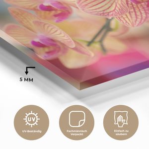 MuchoWow® Glasbilder - Bilder auf Wandbild - Foto auf Glas Pflanze - Orchidee - Blumen - Rosa - Flora 90x60 cm Wanddekoration aus Glas - Acrylglasbild - Acrylbilder - Wandmalerei auf Glas