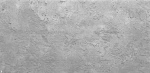 Wanddeko Platte Beton Imitation Wandpaneele Wandverkleidung dunklen BETONLOOK IMITATION aus Polystyrol (0,5qm)