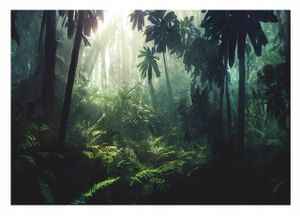 Vlies Fototapete Dunkler Dschungel Tropischer Wald (416x254 cm - inkl. Kleister) Wohnzimmer Schlafzimmer Modern Vliestapete Tapete