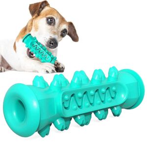 Hunde Kauspielzeug Noppen, sanfte Zahnpflege für Hunde und Welpen, alle Rassen, Therapie unterstützend, befüllbar, robust, blau