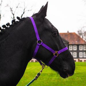 Halfter für Pferde, Größe Pony – Stallhalfter, Halfter für Pony, 2 Fach verstellbar, Farbe lila