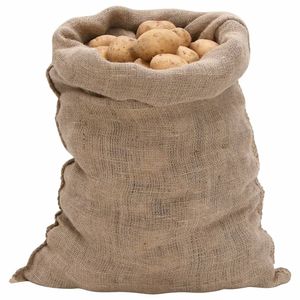 vidaXL Jutesäcke 10 Stk. 60x105 cm 100% Jute 220 g/m²