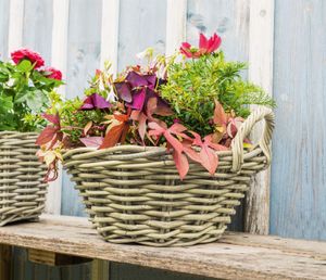 Pflanzschale "Koboo Grey" Ø 43x18 cm groß, aus Rattan, rund, grau, Pflanzkorb, Blumentopf,  Pflanztopf für Draußen, Blumenkübel