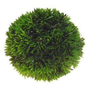 HOBBY Rostlina umělá Plant Ball 13cm, D41542