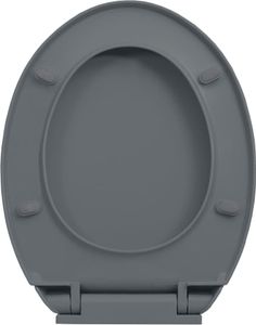 vidaXL Toilettensitz mit Absenkautomatik Grau Oval