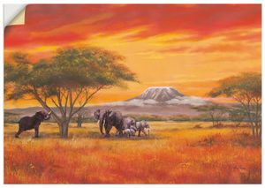 ARTland Wandbild, selbstklebend Elefanten Größe: 100x50 cm
