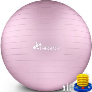 TRESKO Gymnastikball (Princess-Pink, 65cm) mit Pumpe Fitnessball Yogaball Sitzball Sportball Pilates Ball Sportball