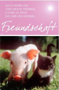 Karte Freundschaft Ferkel