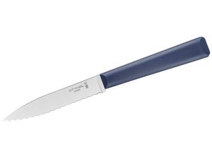 Opinel Küchenmesser ESSENTIELS+ No 313 rostfrei blauer Polymer-Griff