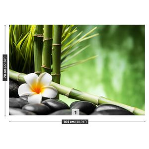 Fototapete 104x70 cm - Vlies-Fototapete - Frangipani-Bambus